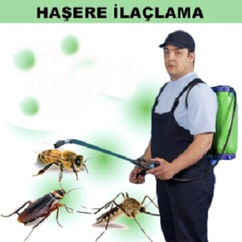 Han Böcek İlaçlama